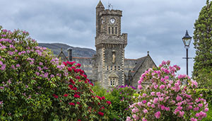 A scenic view of a clock tower surrounded by vibrant pink and red flowers, with a cloudy sky in the background. Perfect for nature lovers and architecture enthusiasts.