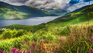 A scenic view of a tranquil lake surrounded by lush green hills and vibrant wildflowers under a cloudy sky, perfect for nature lovers.